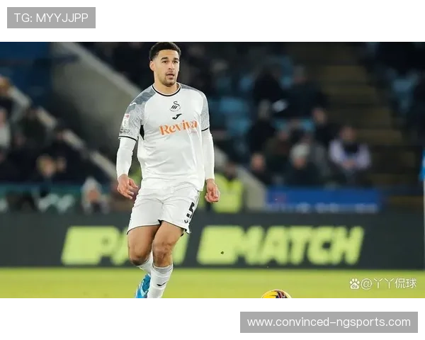 斯旺西俱乐部发展历程与未来战略全面解析